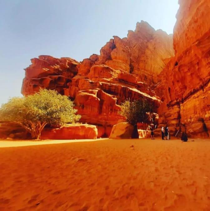 Апартаменти Saleem With Jeep Tour Ваді-Рам Екстер'єр фото